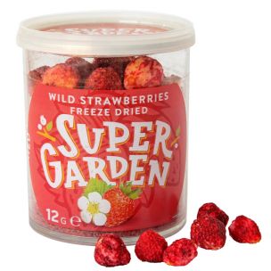 Freeze dried (lyophilized) wild strawberries