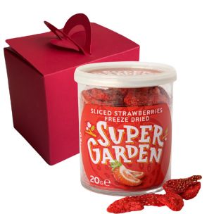 Freeze dried (lyophilized) valentines day strawberries gift