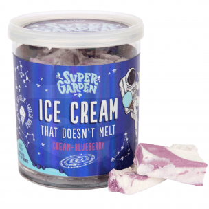 Freeze dried (lyophilized) astronaut ice cream with cream-blueberry